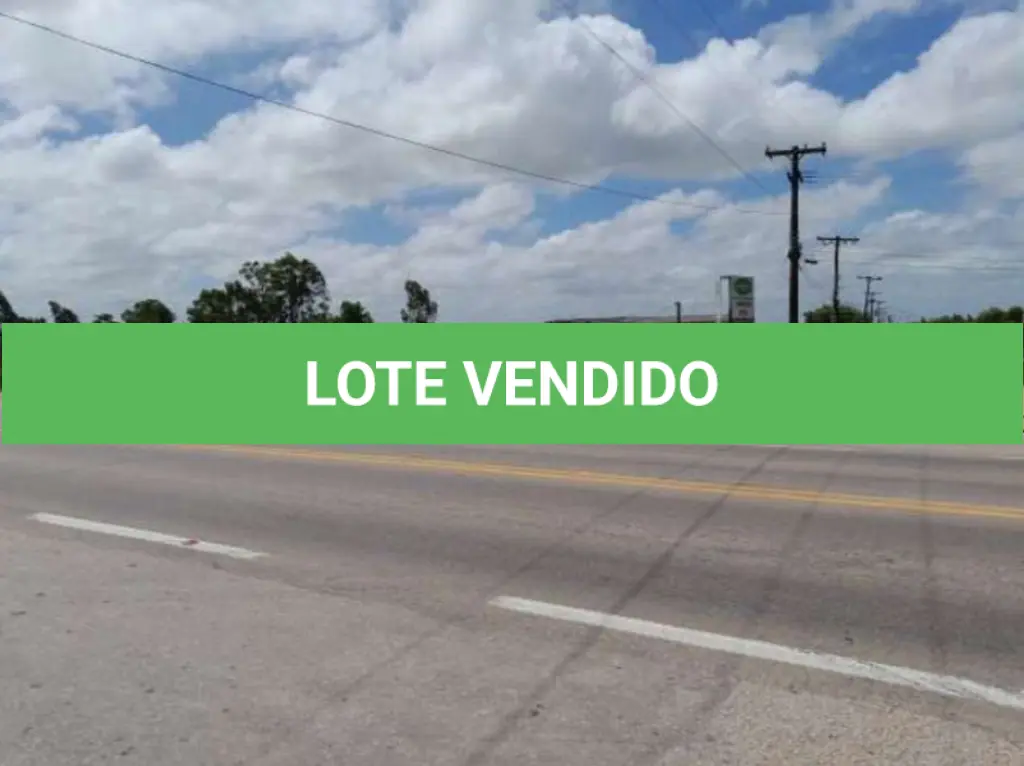 LOTE 001